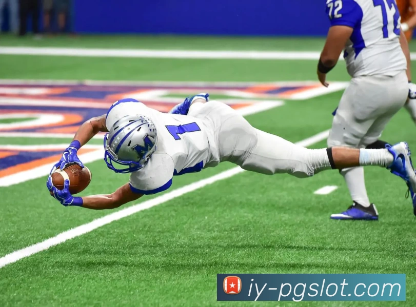 赏金女王PG电子官网APP 封面图